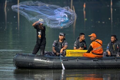 Tests conducted for scientific studies have found traces of lead and mercury as well as E.coli bacteria beyond safe levels in the fish