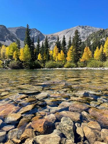 Aspen- Fall