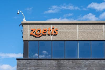 Zoetis Gets Green Light for Bird Flu Vaccine as Outbreak Worsens