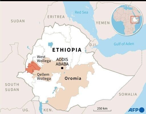 Malaria deaths soar in shadow of Ethiopia conflict