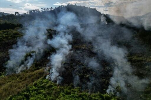 In 2024, forest fires ravaged nearly 18 million hectares of the Brazilian Amazon, driven by an unprecedented drought linked to climate change