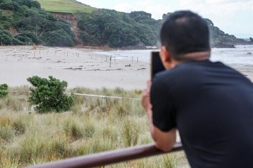 A landslide in New Zealand ploughed into a camping site after heavy rains