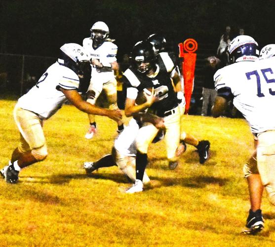 Meadowview falls again but moves in the ‘positive direction’