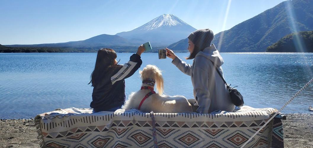 Pet dogs boost teenagers’ mental health “by changing microbes in their bodies”