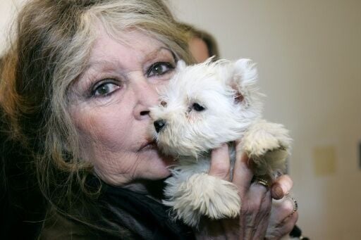 Bardot, here seen in 2005, went on to found the Paris-based Brigitte Bardot Foundation to protect animals