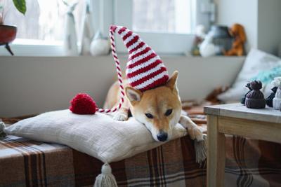 Weekly Mortgage Rates Stable But Could Dip Lower