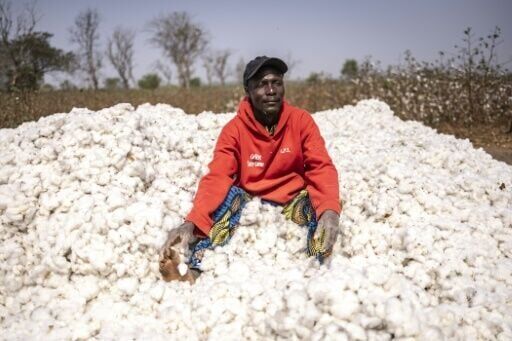 Benin seeks home-grown cotton 'revolution'