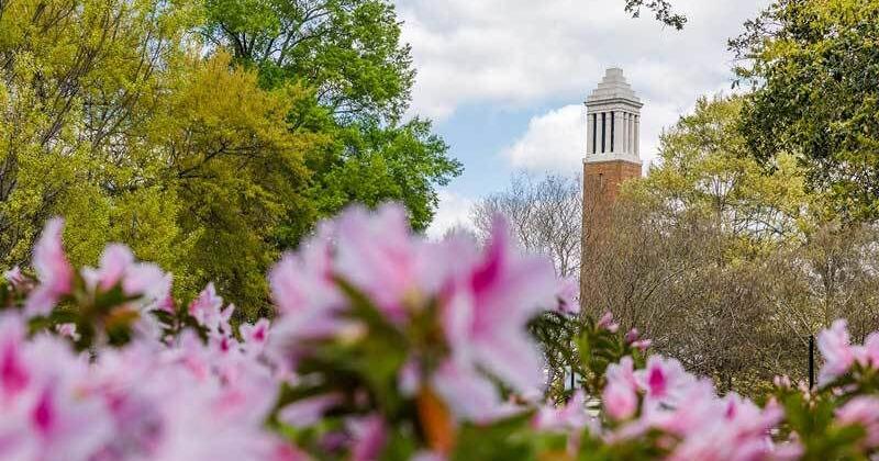 UA students partner with entrepreneurs for support of small businesses in Selma