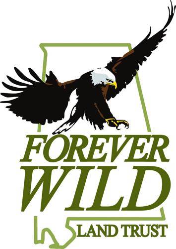 Forever Wild logo