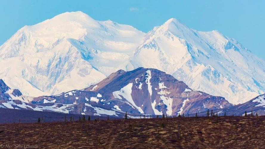 denali national park itinerary 6S7A7505 (Custom)