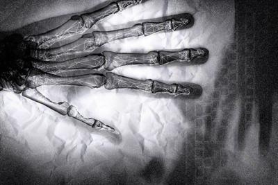 In a recent survey of more than 2,500 creative professionals, 83% reported using AI in their work.