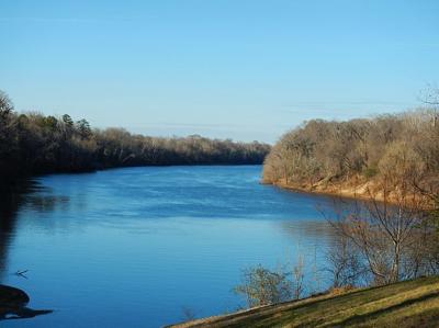 Alabama river II