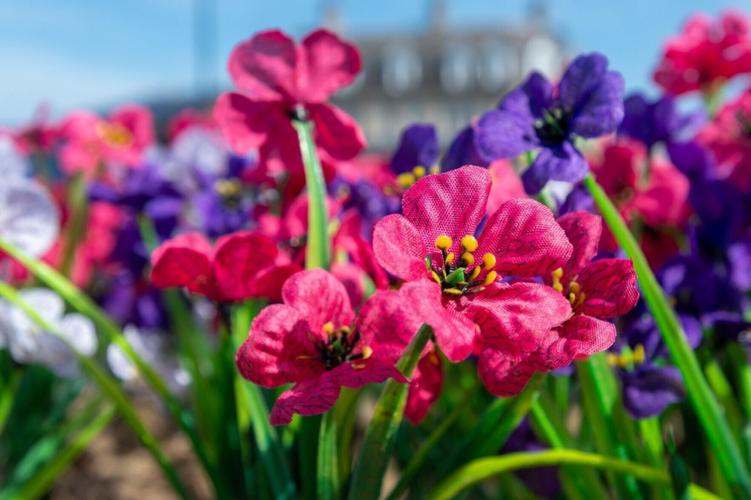 Council uses fake plastic flowers to save cash and water