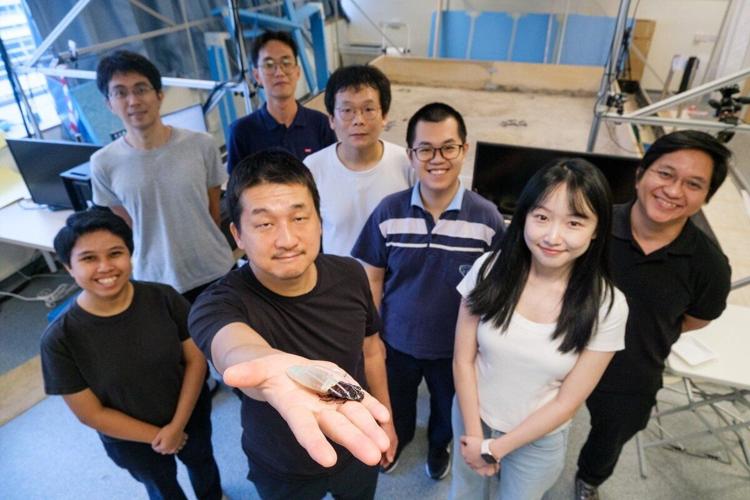 “Cyborg cockroaches” get “diving suits” to seek out humans