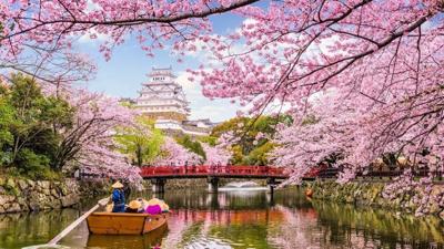 When and Where To See Stunning Spring Blooms in 2025