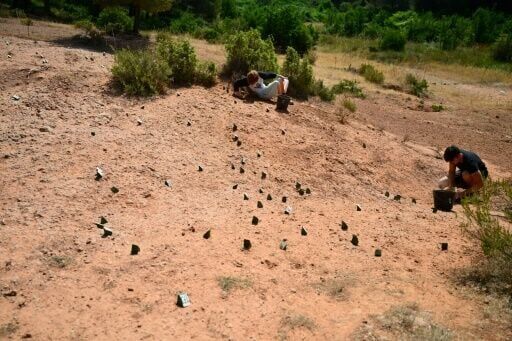 Eggs en Provence: France's unique dinosaur egg trove