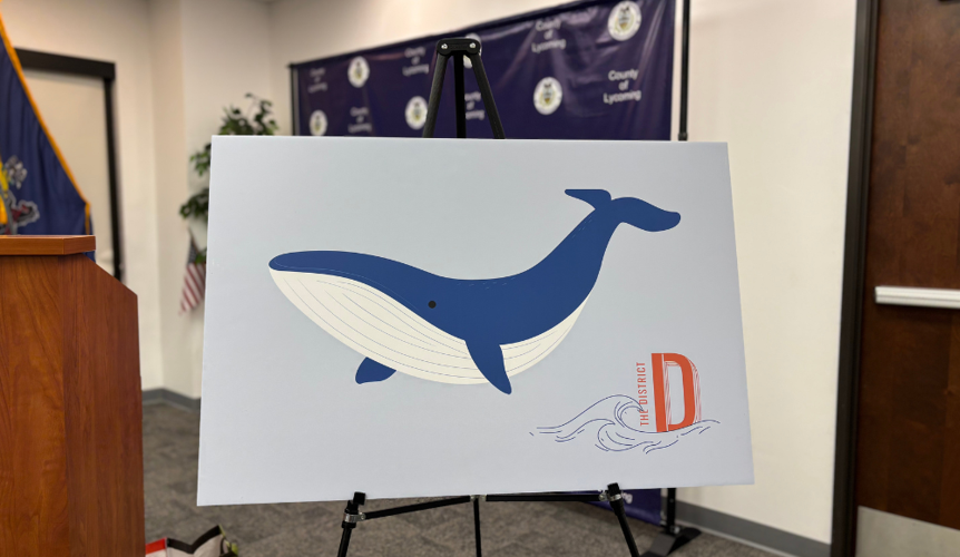 whale - 1