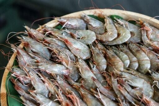 Taiwan used to import more shrimp from Honduras before the Central American country cut diplomatic ties with Taipei in 2023