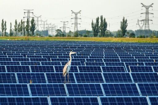 Record May heat scorches north, central China
