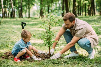 Alabama Power Foundation taking applications for tree planting program