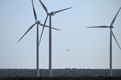 Shortly after his return to power in January, Trump moved to block all new permits for windfarms on federal lands and waters