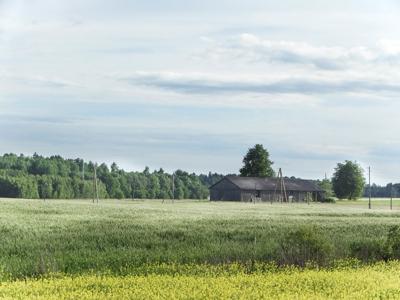 Rural area stock II