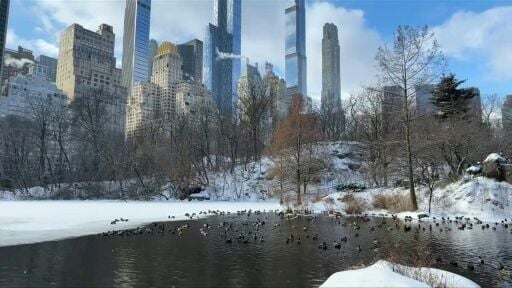 Snow blanketed New York after the historic winter storm