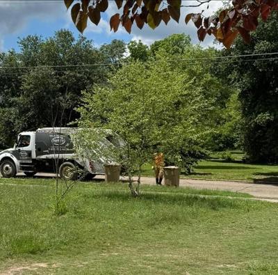 Martin Environmental