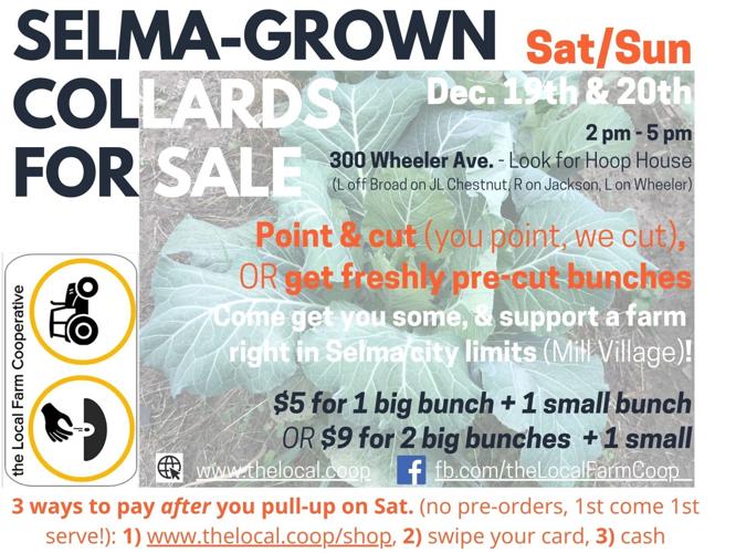 Local Farm Cooperative selling collards this weekend