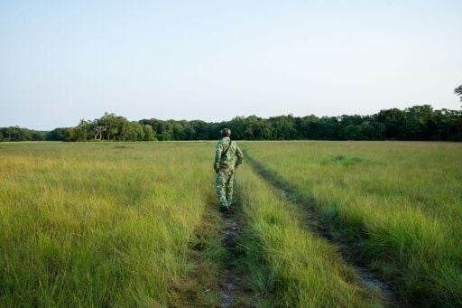 'If there are turtles, it means our ecosystem is sound and healthy,' said Francois Boussamba, a Gabonese turtle expert