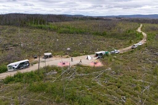 Canada turns to drones for reforestation after wildfires