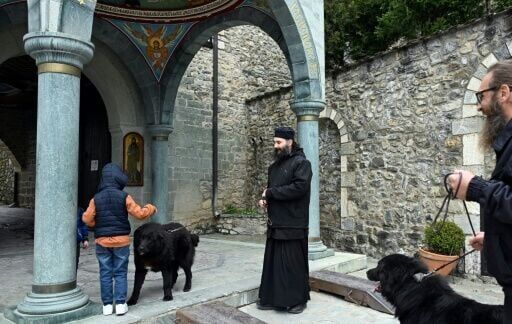 The Karaman has won provisional recognition as an indigenous breed from the International Canine Federation (FCI)