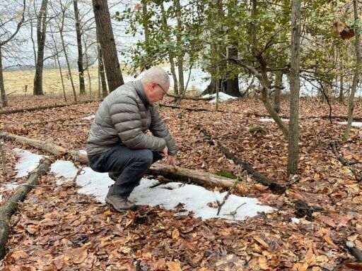 Marc Schindler, a professor at Georgetown University who leads the Forgotten Children Initiative, inspects an area were hundreds of graves have been found