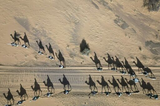 On patrol for jihadists with Mauritania's camel cavalry