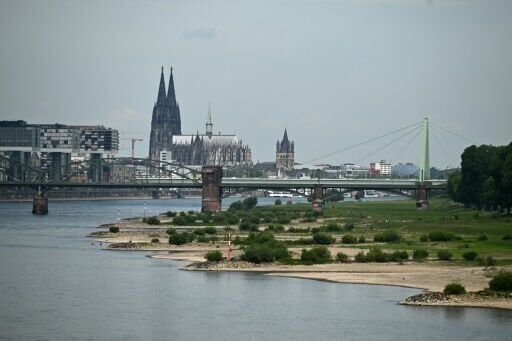 Fears for crops as drought hits northern Europe