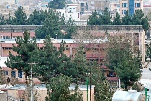 Afghan refugees minister killed by suicide blast