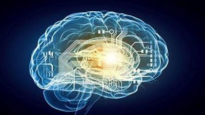 Some Brain Cells Change with Age, Some Don't: Study