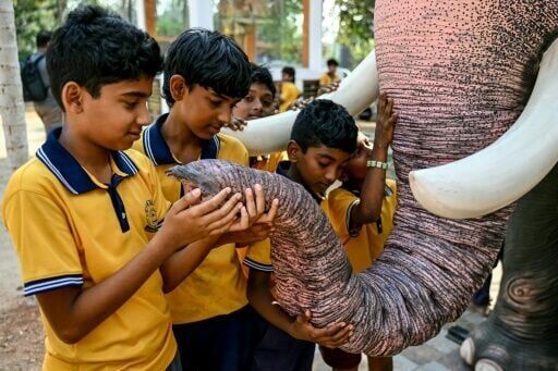 Model behaviour: India's anti-cruelty robot elephants
