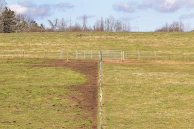 Preparing pastures for spring