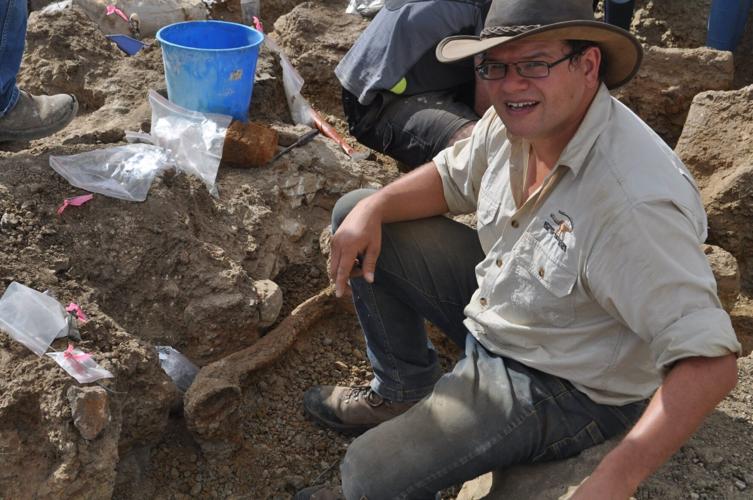 Long-necked dinosaurs didn’t bother chewing, suggests new research