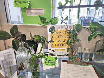 Library Plant Sharing Station