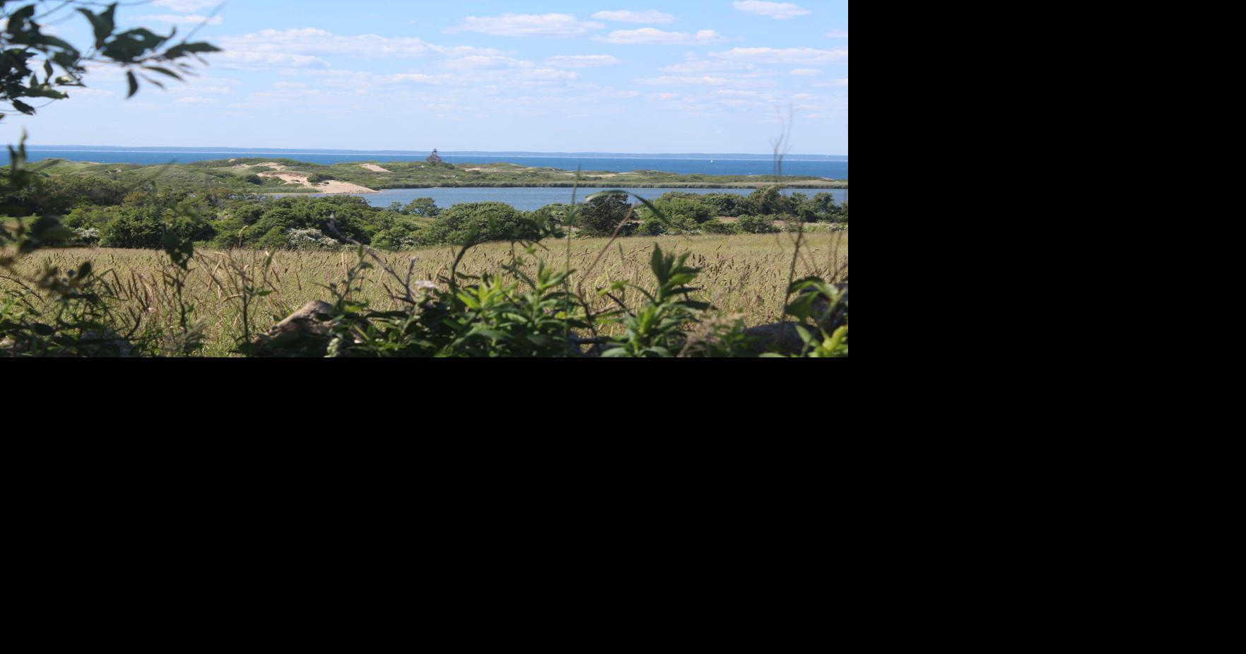 Town goes hunting for a solution