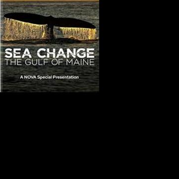 Ocean Views - Film & Soup: ‘Sea Change: Gulf of Maine’