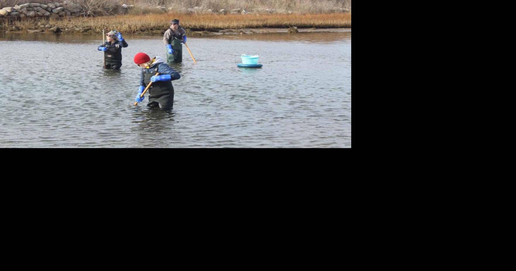 Granting of commercial shell-fishing licenses delayed