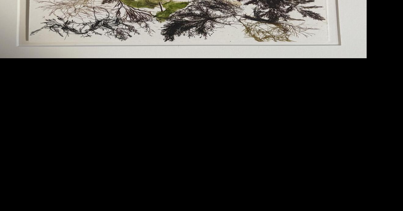 ART AROUND TOWN - "Tidal Impressions – Works from the Edge of Sea and Shore’ at Spring Street Gallery