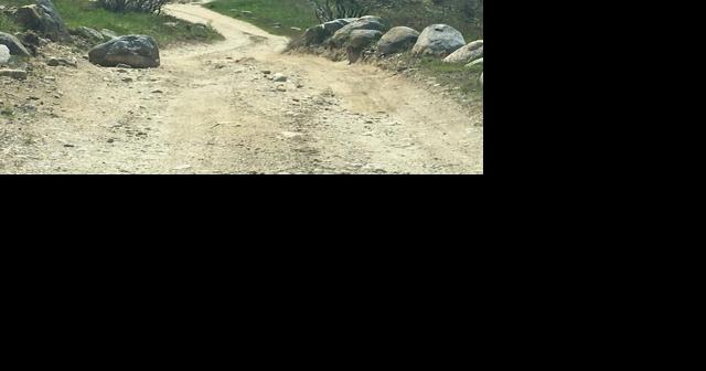 The road not taken - Vimarsana News