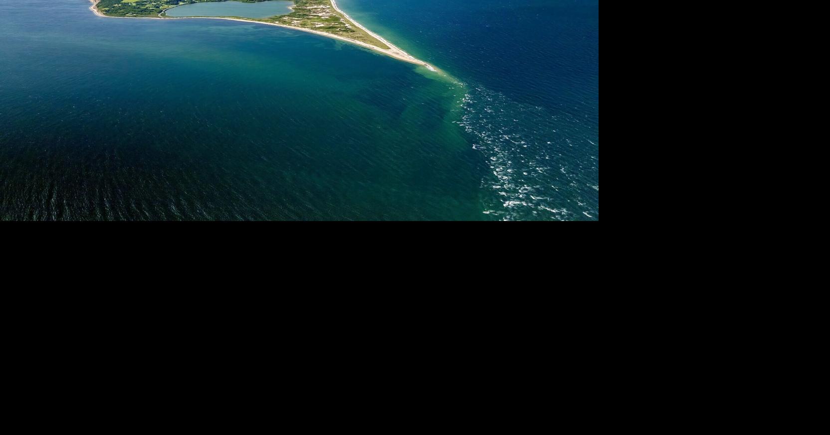 Ocean State Media premieres new docuseries on Rhode Island’s dynamic coastal ecosystem First Episode of ‘Ocean State: Rhode Island’s Wild Coast’ Airs January 9