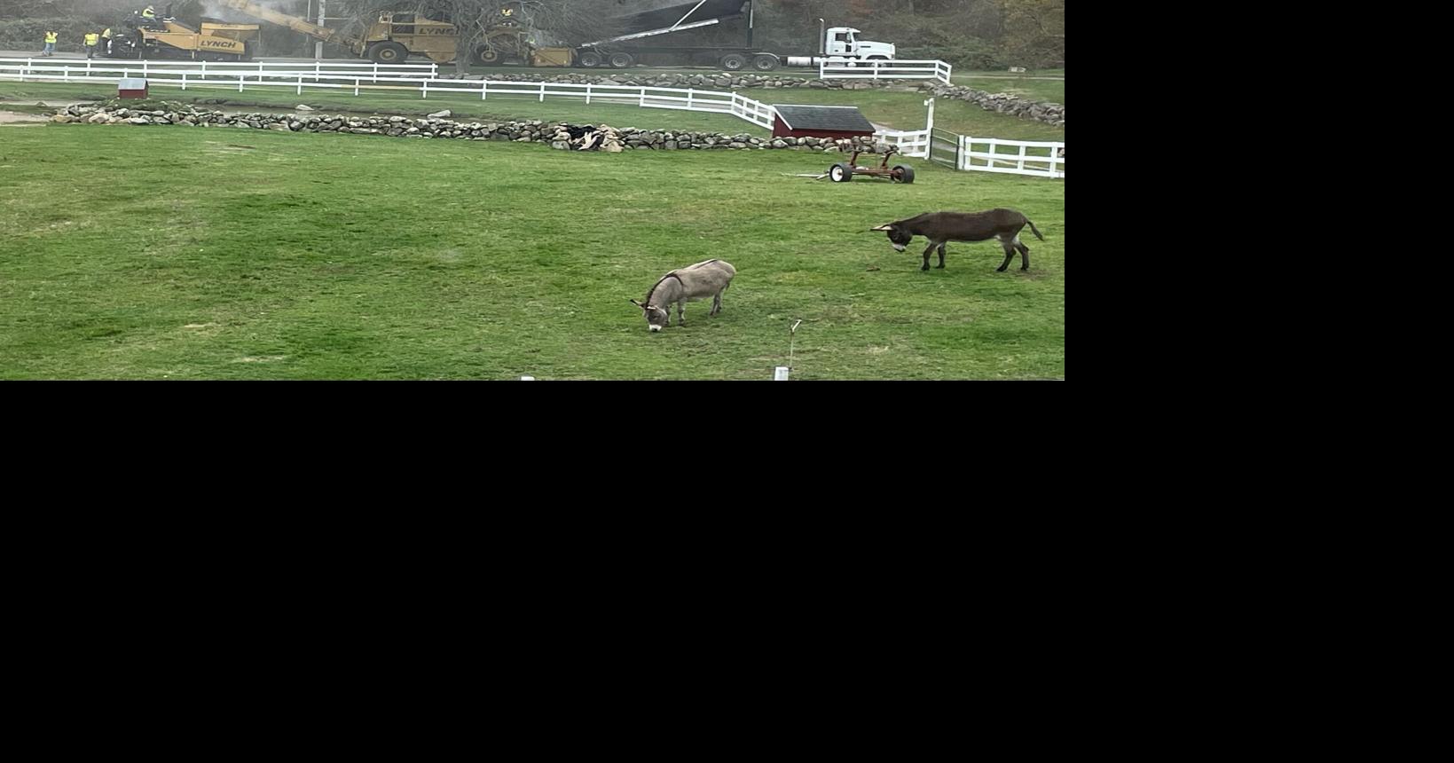 Town engineer weighs in on wetlands