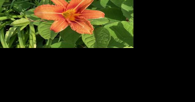 This time of year - Vimarsana News