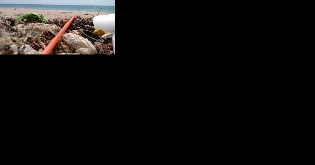 Plastic Waste Reduction Act regulations go into effect Jan. 1 - Vimarsana News